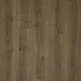 Tapi Kiri Rigel Dryback