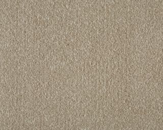 Portsmouth Avon Twist Carpet