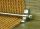 Stair Rod - 70cm